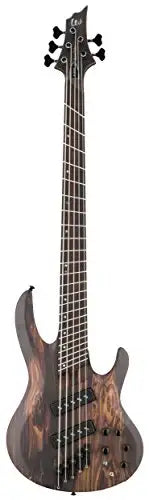 ESP LTD B-1005SE Multi-Scale NS · Basse électrique - Artmusiclitte/Artmusics Relays - Instruments de musique et accessoir - acoustique, amplis, cas, electro-acoustique, Guitare, électrique, étuis