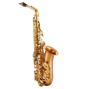 SEASOUND OEM Professional Gold Copper Alto Saxophone Woodwind Instrument JYAS102GC - Artmusiclitte/Artmusics Relays -  - 