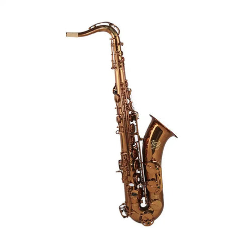 SEASOUND OEM Professional Coffee Tenor Saxophone Woodwind Instrument JYTS103CF - Artmusiclitte/Artmusics Relays -  - 