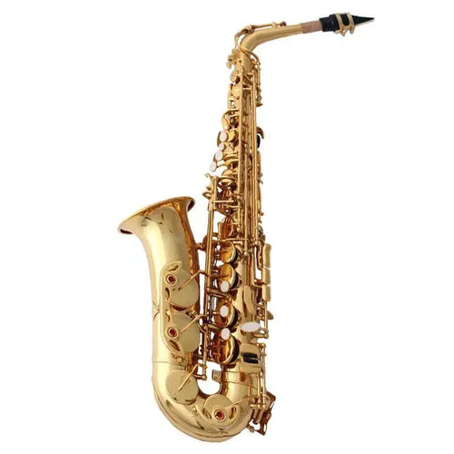 case mouthpiece reeds Tide music gold lacqquer alto saxophone alto sax - Artmusiclitte/Artmusics Relays -  - 